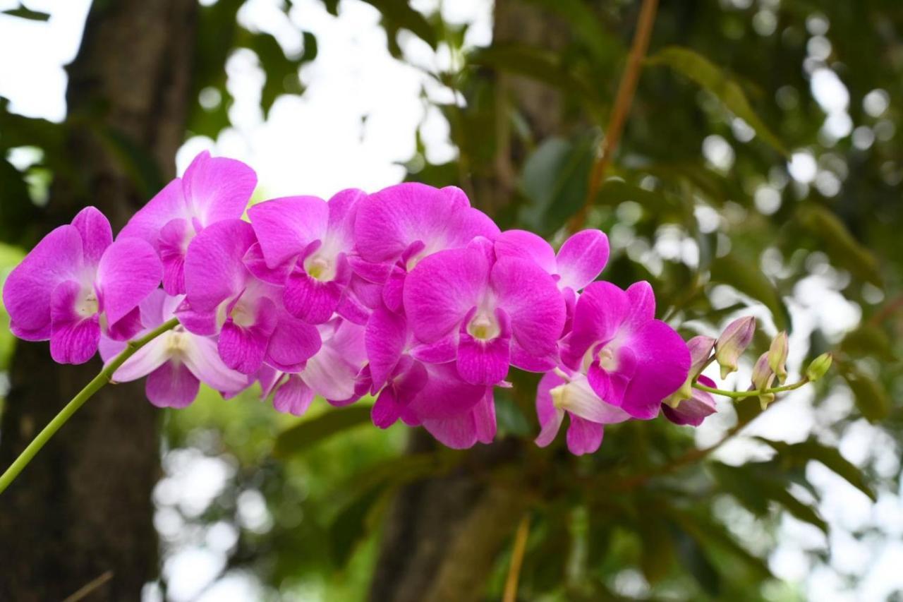 Baan Nern Khao Resort Pattaya Ban Huai Yai 외부 사진